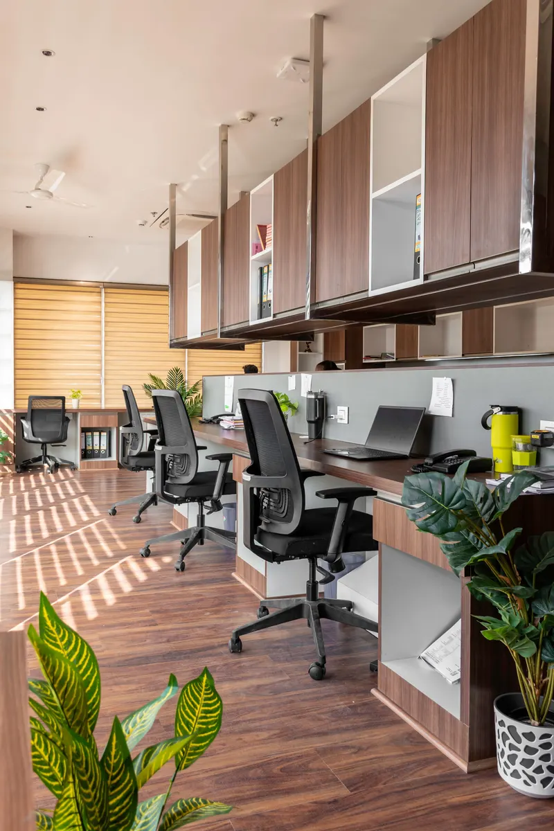 A clean open-plan office with wooden floors, plants and workstations